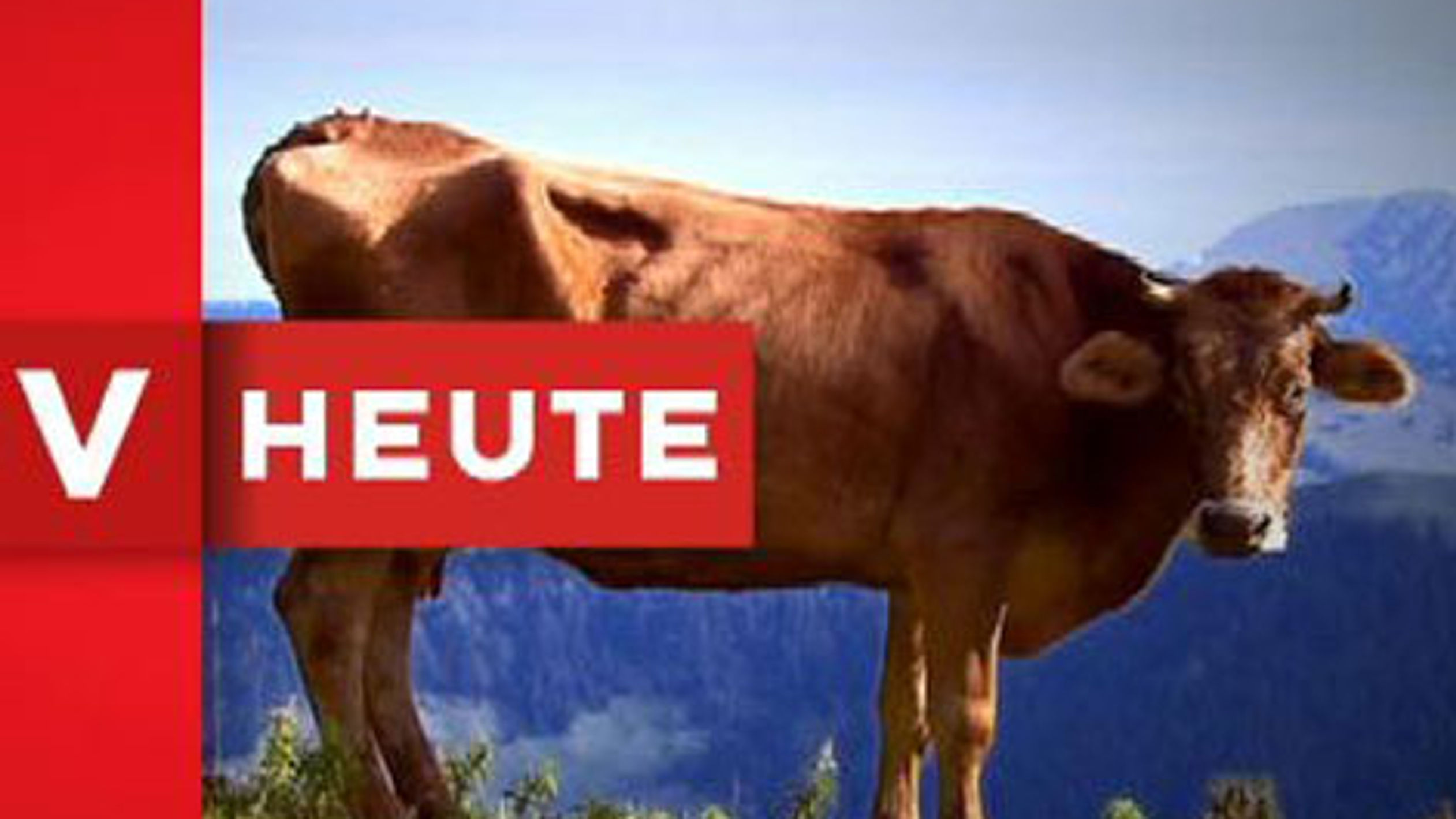 Vorarlberg Heute - Beiträge